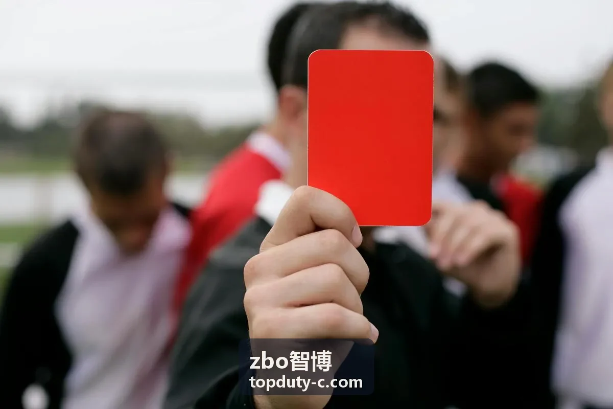 zbo智博流程优化服务